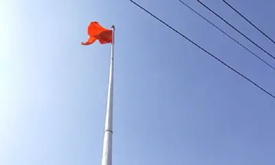 Hanuman flag