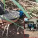 two people killed peacocks for meat