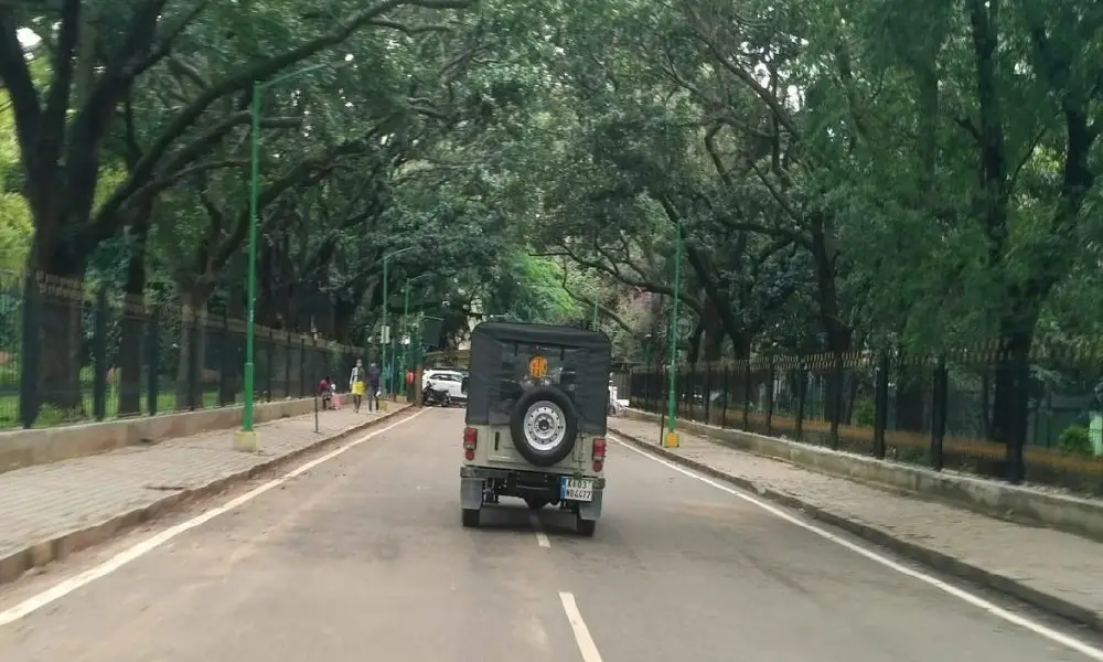 Cubbon Park Bangalore