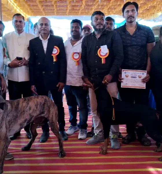 Dog show at the Hampi Utsav