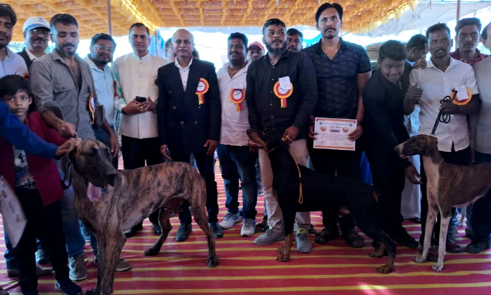 Dog show at the Hampi Utsav