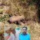 Elephant Attack karnataka Compensation