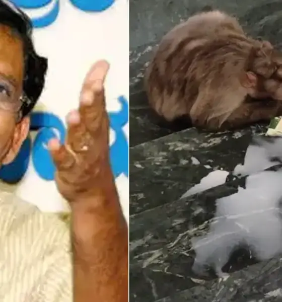 G Parameshwar Monkey Menace