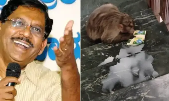 G Parameshwar Monkey Menace