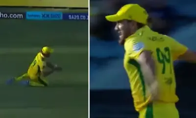 Imran Tahir takes a diving catch