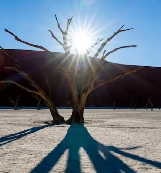 Dry weather likely to prevail over Karnataka