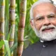 PM narendra modi sugarcane