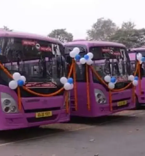 Pink Bus for Women