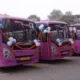 Pink Bus for Women