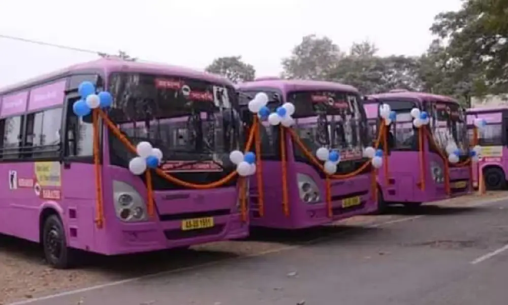 Pink Bus for Women