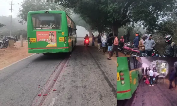 Bus Hit Bike lady dead