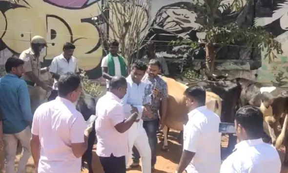 cow protest in Freedom Park by BJP Karnataka