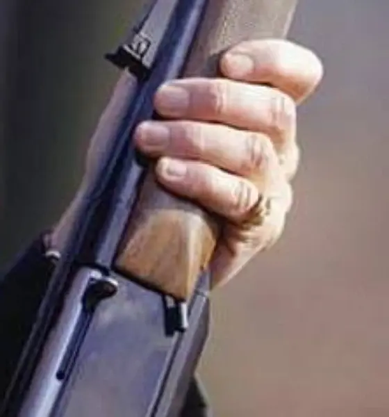 Constable attempts suicide by shooting himself