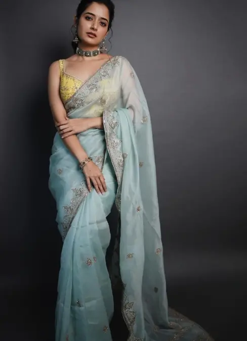 A glamorous saree look from the fashion world
