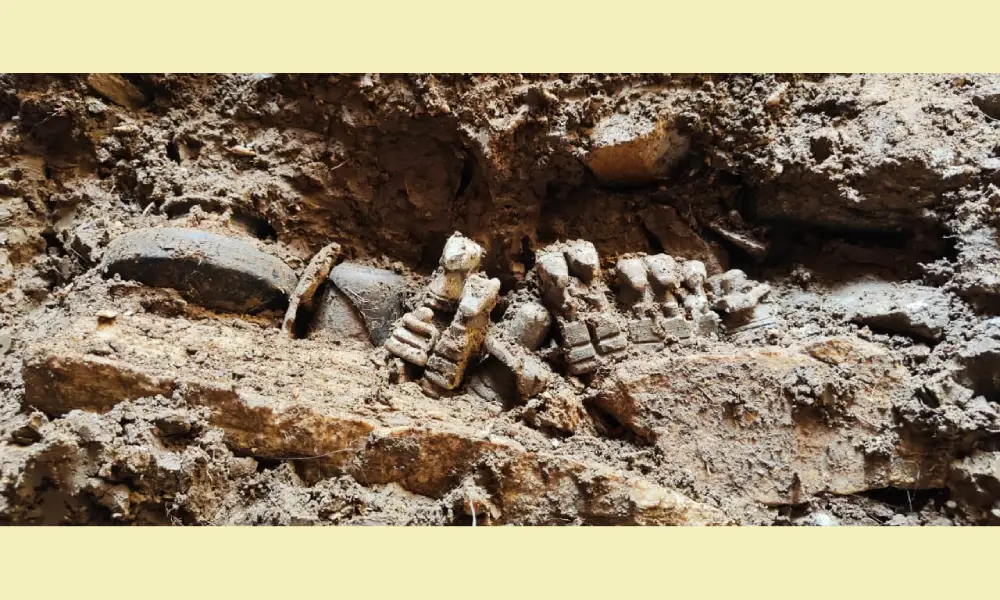 Antiquities found in Kammathahalli