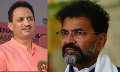 BJP Karnataka Anant kumar Chalavadi Narayanaswamy