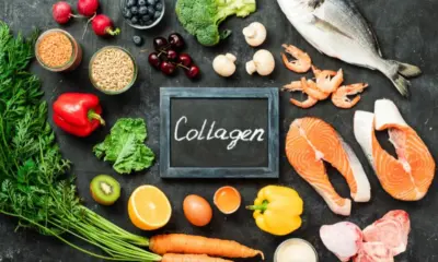 Collagen Foods