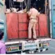 Protection of cows being illegally transported to slaughter houses