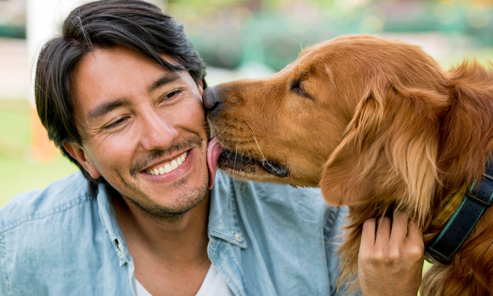 Dog licking a happy man