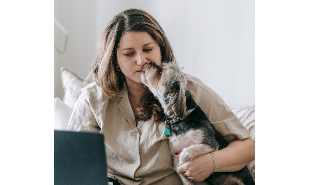 Dog licking woman concentrated on work