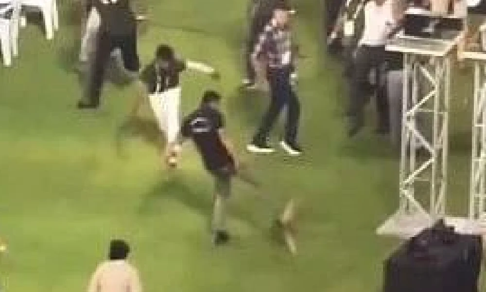 IPL ground staff for kicking dog