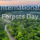 International Forests Day