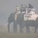 Modi Elephant Safari