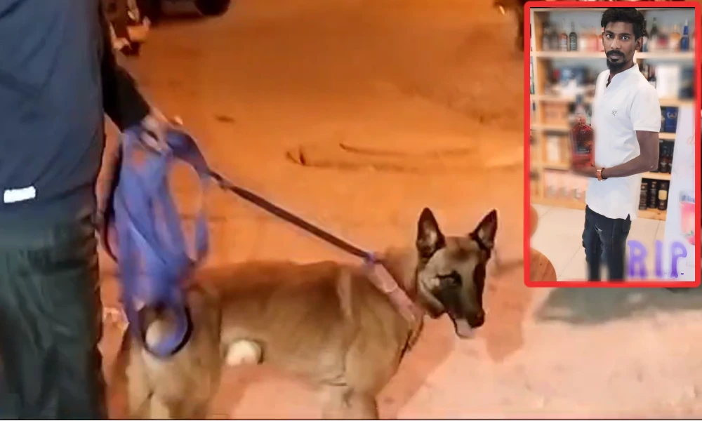 Rowdy Shiva murder case Dog Rana Support the accused‌ Arrested