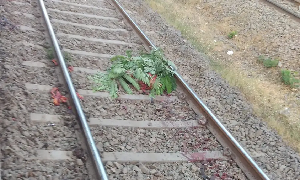 Train Accident death