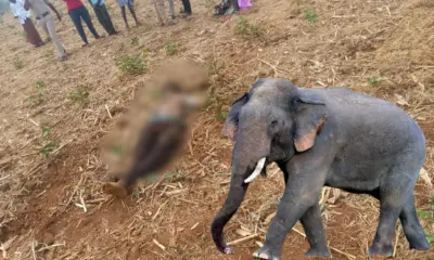 Youth killed in elephant attack in Chamarajanagar