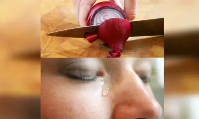 food cooking life hacks try this onions will not cause tears