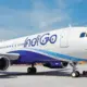 indigo airline