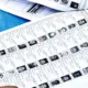 voter list