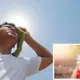 Rise in temperature Heat stroke anxiety