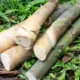 Benefits of Bamboo Shoots