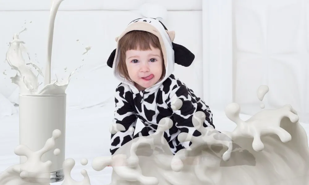 Cow Milk‌ For Baby