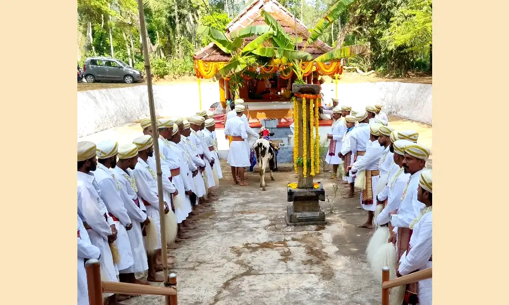 Maluru Sri Bellarikamma Temple Jatra Mahotsava