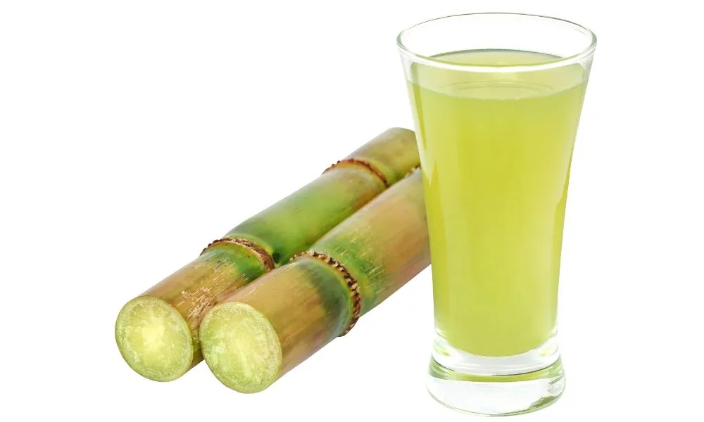Piece of Sugarcane Juice