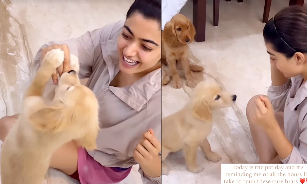 Rashmika Mandanna Loves Her Two pets