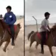Actor darshan son vineesh horse riding