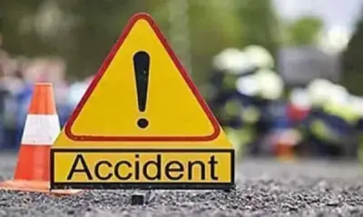 Road Accident Two wheeler collision Deer death