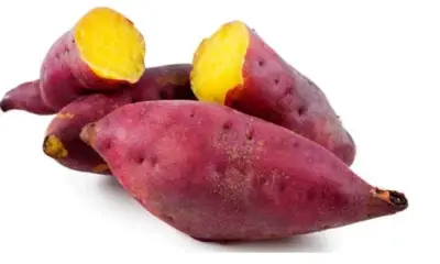 Sweet potatoes have the ability to control diabetes and prevent cancer