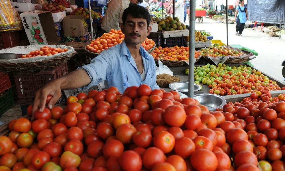 tomato price rise