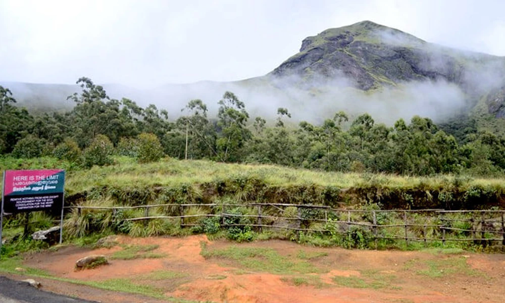 Munnar Tour