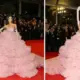 Cannes 2024 Indian influencer who stitched a 20 kg dress