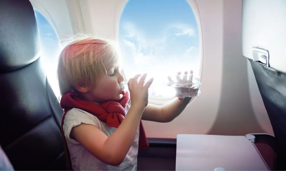 Charming Kid Traveling by an Airplane.