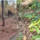 Elephant attack in Shivamogga