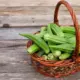 Health Benefits Of Okra