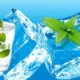 Mint Leaf Water