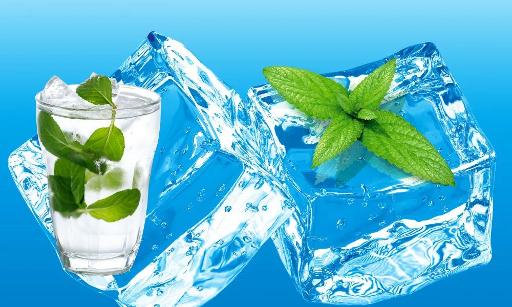 Mint Leaf Water